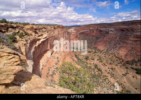 La cueva de la masacre y el Cañón del muerto de una matanza Cueva Mirador Monumento Nacional Cañón de Chelly Arizona Foto de stock