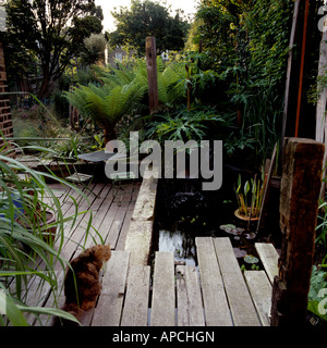 Londres jardín con terraza de madera, plantado con yuca y bajo crecimiento hierbas de Nueva Zelanda Foto de stock