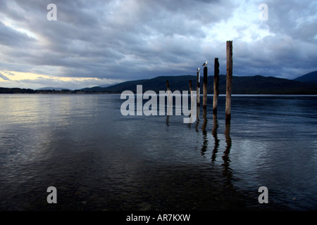 Reflexiones sobre el lago TeAnau al amanecer, Nueva Zelanda Foto de stock