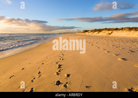 Huellas en la arena en la playa cerca de Leighton Fremantle del norte hacia la costa hacia Cottesloe. Perth, Australia Foto de stock
