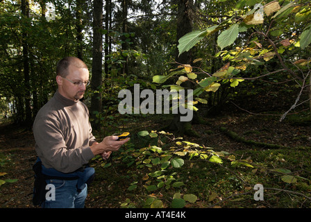 Excursionista macho verificando el curso con un receptor GPS en el bosque de Stockholm Stockholms Lan Suecia en septiembre de 2007 Foto de stock