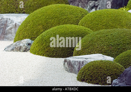 Detalle del paisaje seco Jardín en el Museo de Arte Adachi en Japón Foto de stock