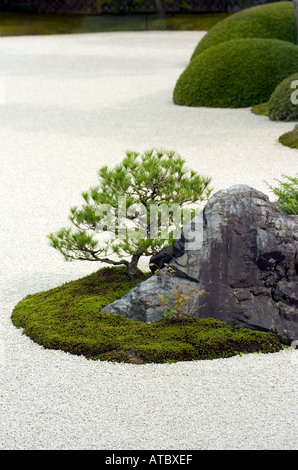 Detalle del jardín de musgo en el Museo de Arte Adachi en Japón Foto de stock