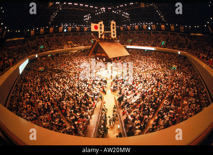 Sumo wrestling santuario sintoísta ring bajo techo en el Estadio de Tokio Foto de stock