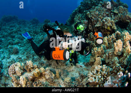 Un buzo se alinee en un arrecife con su cámara digital SLR en una carcasa submarina con estrobos, costa de Kona, Hawai. Foto de stock