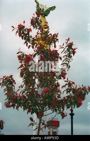 floreciendo el árbol de manzana paraíso - flores rojas y hojas del paraíso  de los árboles de manzana Fotografía de stock - Alamy