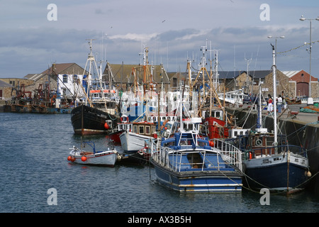 Los arrastreros de pesca en el puerto de Howth, Dublín, Irlanda. Foto de stock