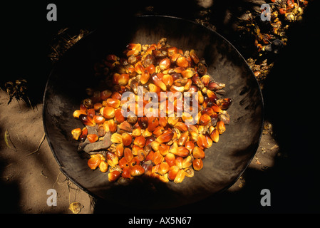 África. Palm frutas en un recipiente de metal. Foto de stock