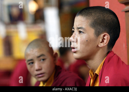 Los jóvenes monjes budistas meditando en un monasterio, India Foto de stock