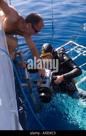 El camarógrafo subacuático filmar desde una jaula de tiburones, Isla Guadalupe México Foto de stock