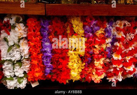 Imagen en color de colores brillantes lei s en la pantalla en una tienda en Waikiki, en la isla de Oahu en Hawai Foto de stock