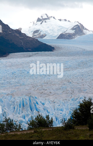 El Glaciar Perito Moreno ubicado en el Parque Nacional Los Glaciares en la Patagonia Argentina Foto de stock