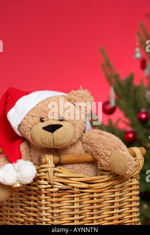 Oso de peluche vestidos de Santa Claus sombrero en una cesta