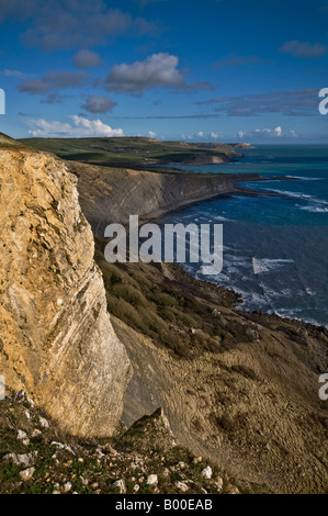 La costa de Dorset mirando al oriente hacia St.Aldhelms o cabeza de St Albans Worbarrow Foto de stock