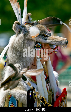 Los indios americanos nativos vistiendo un traje en la cabeza del lobo  Fotografía de stock - Alamy