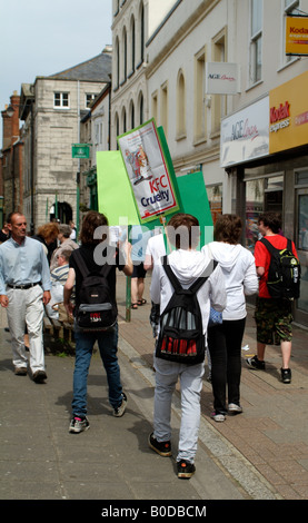 KFC manifestantes en Newport Isle of Wight Inglaterra crueldad Campaña titulada Kentucky Fried crueldad Foto de stock