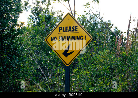 Una señal de advertencia a los visitantes, no a nadar porque de caimanes en Alligator Alley en el Parque Nacional de los Everglades Foto de stock