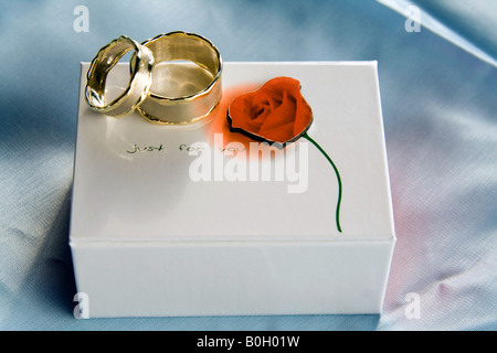 Anillos de boda nicos en una bonita caja de regalo Fotograf a de