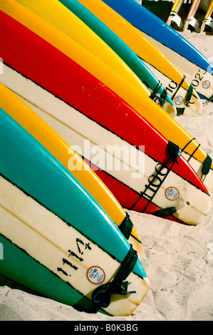 Las tablas de surf en la playa para alquilar en Hawai Foto de stock