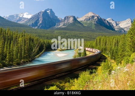 Un tren pasa a través de la famosa curva Morant, cerca del Lago Louise en el Parque Nacional Banff, Alberta, Canadá. Foto de stock