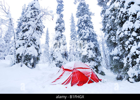 Carpa en Gaellivare cubierto de nieve en Laponia, norte de Norrbotten Suecia Foto de stock