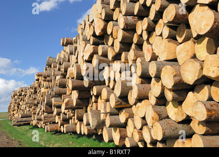 Apilar troncos de abeto, registros, cerca lumberyard Viechtach, Bayerischer Wald, Bosque Bávaro, la Baja Baviera, Alemania
