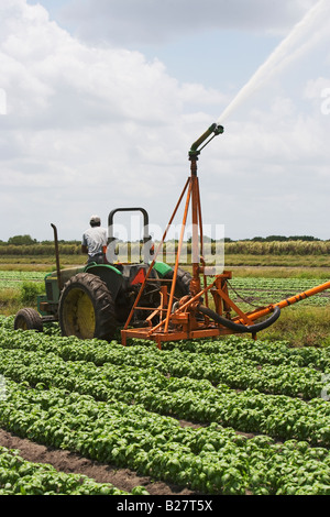 Tractor de campo de riego, Florida, Estados Unidos Foto de stock