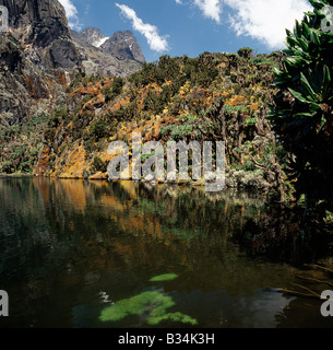 Uganda, en el oeste de Uganda, las Montañas Rwenzori. Lago Bujuku, 12. ...