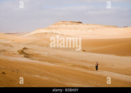 Caminante en el desierto, Bir Wahed, el desierto de Libia, Egipto Foto de stock
