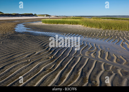 La marea baja de Cape Cod Bay Massachusetts Foto de stock