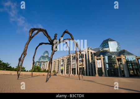 Escultura de una araña en la parte delantera de la Galería Nacional de Canadá, Ottawa, Ontario, Canadá Foto de stock