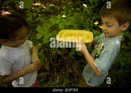 Los niños encuentran un geocache Caja de tesoro en el bosque Foto de stock