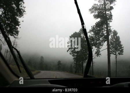 Ver a través del parabrisas la conducción a través de la tormenta, las montañas Jemez, en Nuevo México, EE.UU. Foto de stock