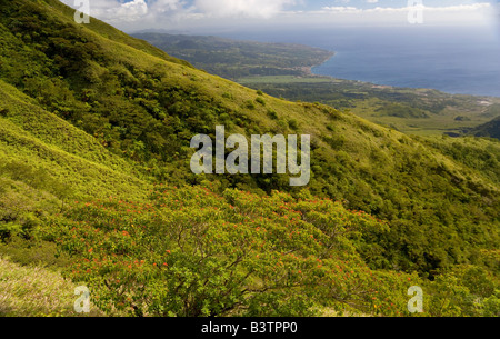 Martinica. Antillas francesas. Indias Occidentales. Vista de la costa del mar Caribe y la ciudad de San Pedro desde la ladera del monte. PelÈe.