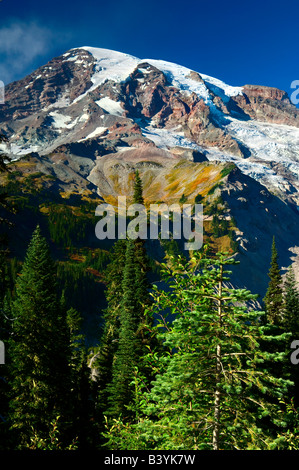 Mount Rainier en la caída de una vista por debajo de la superficie del parque del paraíso Foto de stock