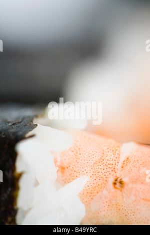 Sushi de camarón, extreme close-up