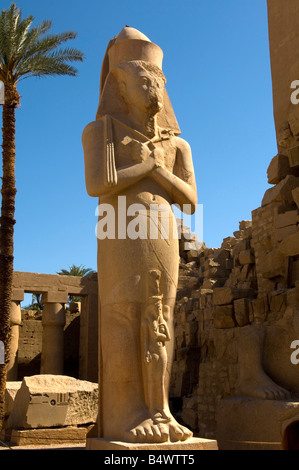 Colosal estatua de Rameses II, primer patio, Templo de Karnak compleja, Sitio del Patrimonio Mundial de la UNESCO, Luxor, Egipto Foto de stock