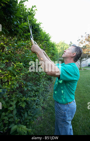 Hombre haciendo trabajos de jardinería