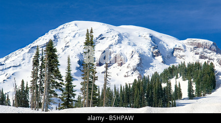 Paradise área de Parque Nacional Monte Rainier, Washington en invierno, en un día claro, Foto de stock