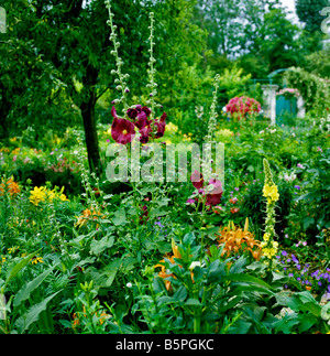 En Hollyhocks jardín de Monet en Giverny Foto de stock