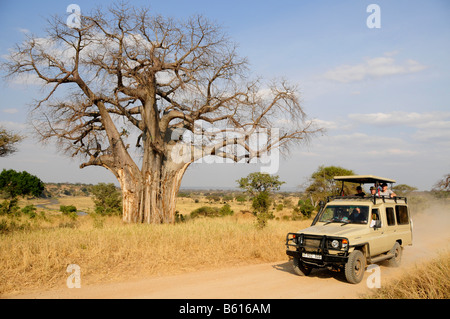 Los turistas bajo un árbol baobab (Adansonia digitata) de safari en un vehículo de tracción en las cuatro ruedas, Tarangire-National Park, Tanzania