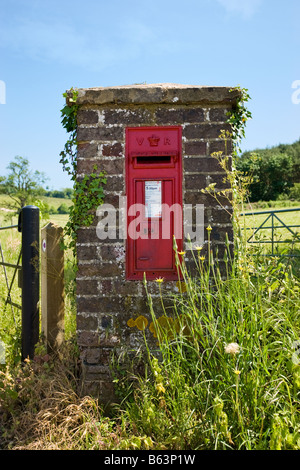 Victoriano Rural postbox Albury, Surrey, Inglaterra, Reino Unido.