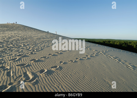 Arcachon Francia dunas de Pyla Foto de stock