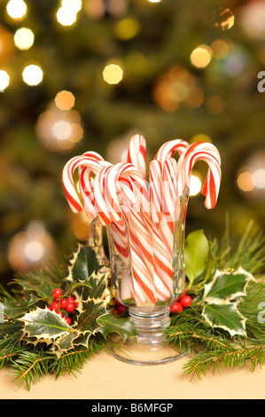Vaso de 'bastones de caramelo" con [holly bayas rojas] y 'Árbol de Navidad' en el fondo con luces Foto de stock
