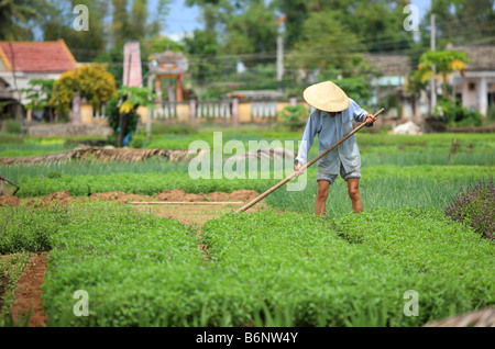 Una mujer está cavando la tierra en el jardín vegetal Foto de stock