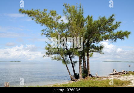 San Carlos Bay, en la Costa del Golfo de Intracoastal Waterway cerca de Sanibel Island, Florida, EE.UU.