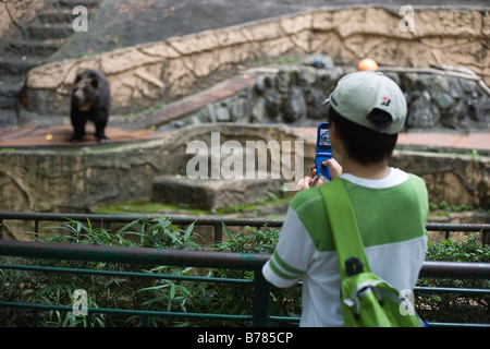 Los jóvenes japoneses niño tomando la imagen de oso en el zoo de Tokio utilizando su teléfono celular