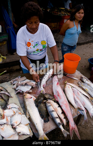 Venta de peces amazónicos, Nanay Iqutios mercado Amazonas peruano, Perú Foto de stock
