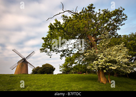 Bembridge Windmill, Isle of Wight Foto de stock