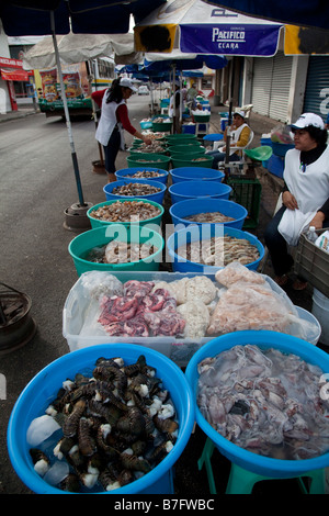 El camarón y el Mercado de Mariscos Mazatlan Sinaloa México Fotografía de  stock - Alamy